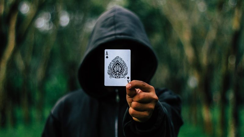 公开便所第二季 服务定位与免责声明